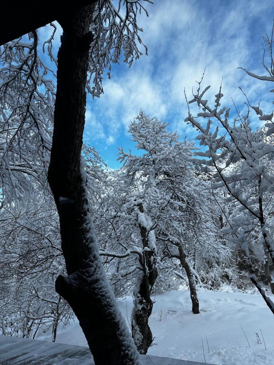 Вилла Turgensai Visitor Center Tauturgen Экстерьер фото